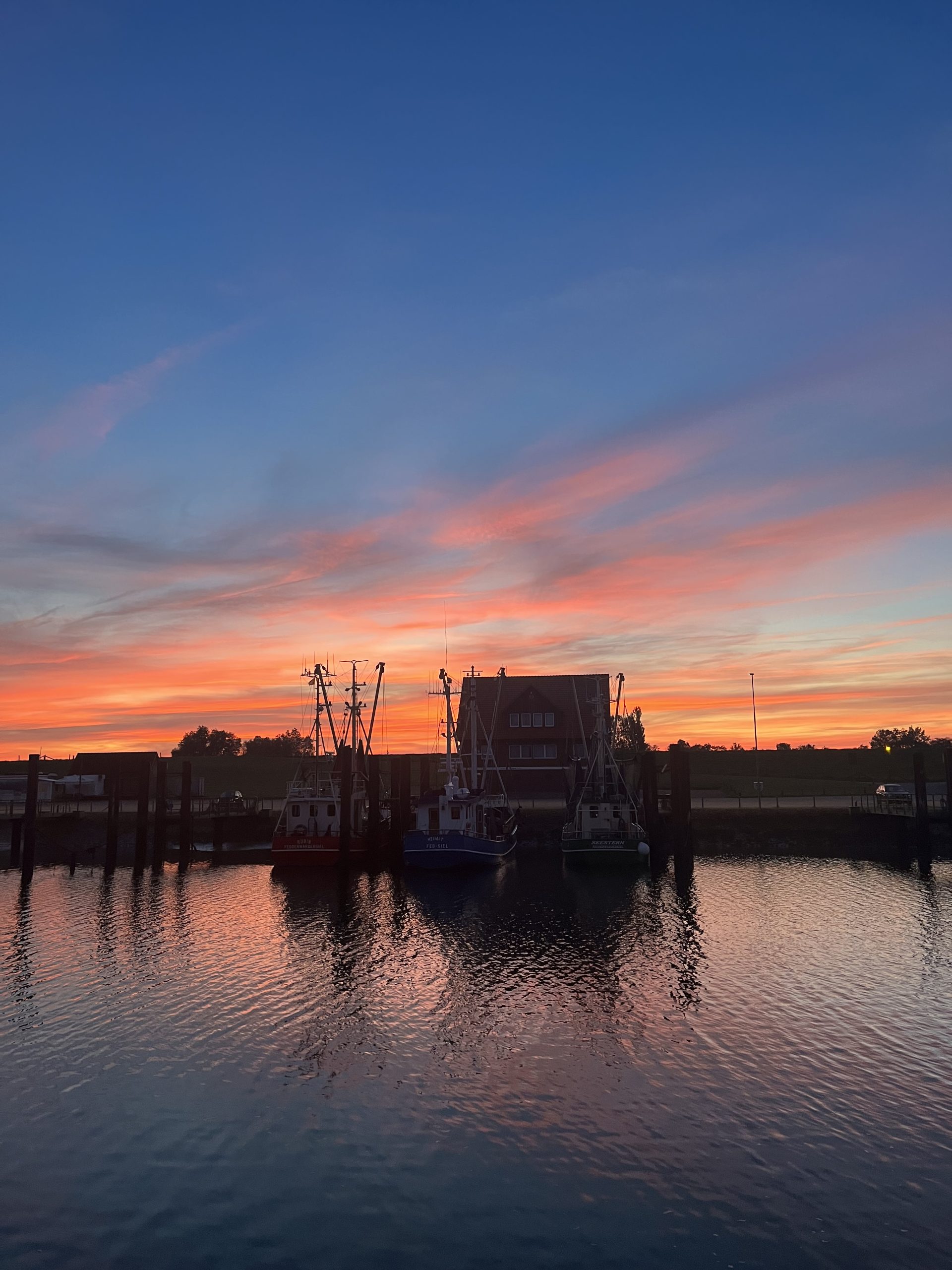 Abends am Hafen